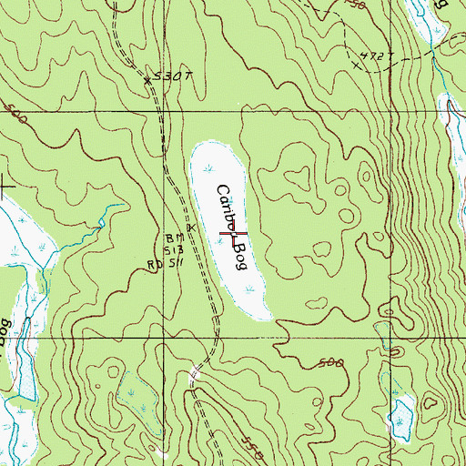 Topographic Map of Caribou Bog, ME