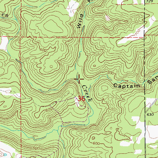Topographic Map of Wild Hog Hollow, AR