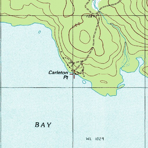 Topographic Map of Carleton Point, ME