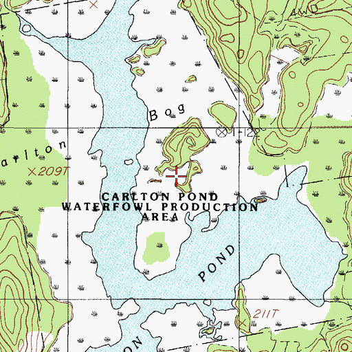 Topographic Map of Carlton Bog, ME