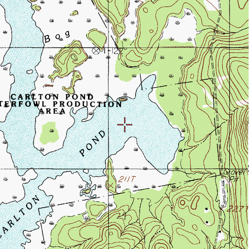 Topographic Map of Carlton Pond, ME
