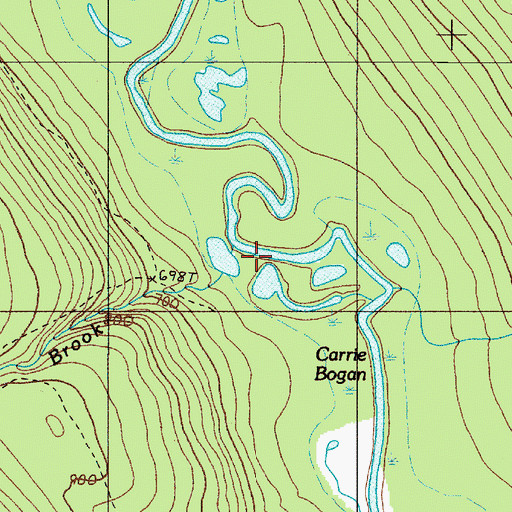 Topographic Map of Carrie Bogan Brook, ME