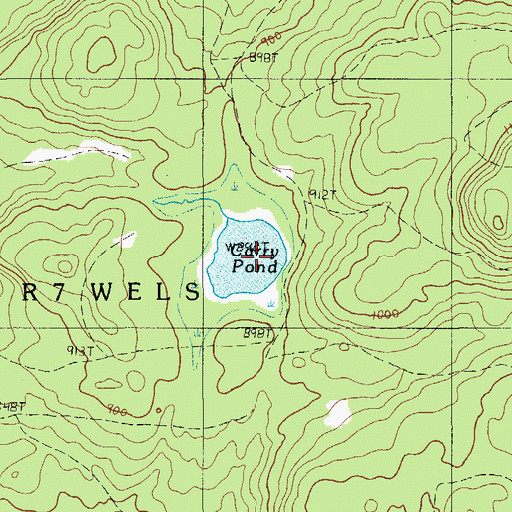 Topographic Map of Carry Pond, ME