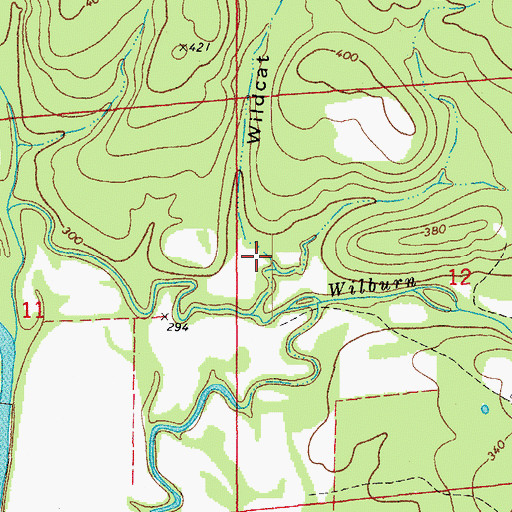 Topographic Map of Wildcat Hollow, AR