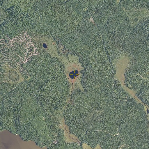 Aerial/Satellite Image of Carson Heath, ME