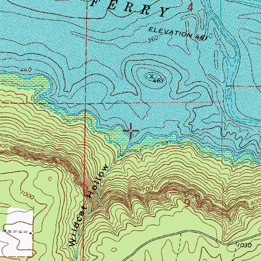 Topographic Map of Wildcat Hollow, AR