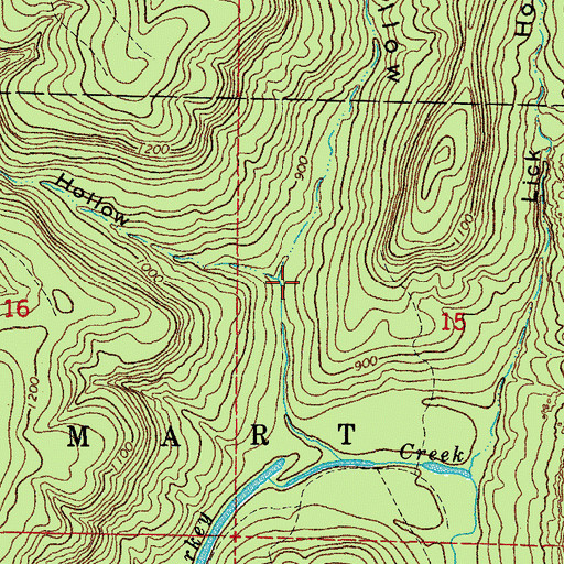 Topographic Map of Wildcat Hollow, AR