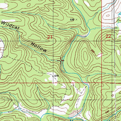 Topographic Map of Wildcat Hollow, AR