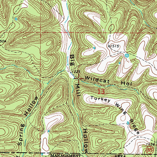 Topographic Map of Wildcat Hollow, AR