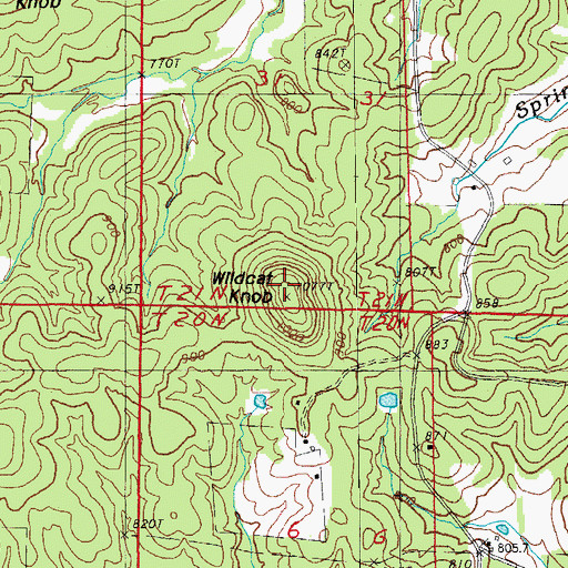Topographic Map of Wildcat Knob, AR
