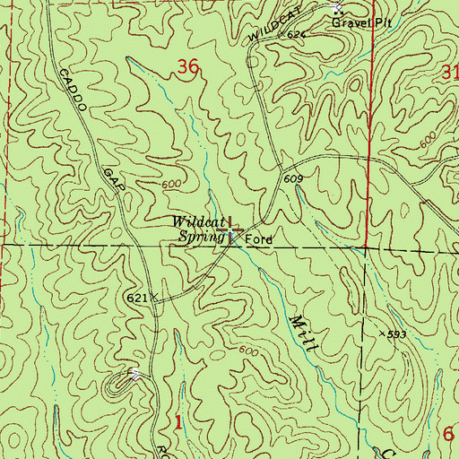 Topographic Map of Wildcat Spring, AR