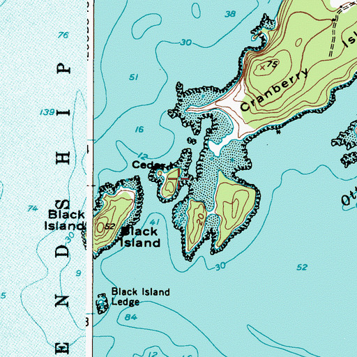 Topographic Map of Cedar Island, ME