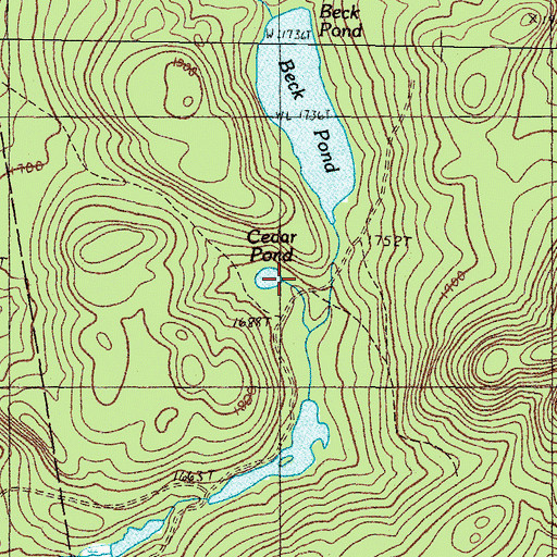 Topographic Map of Cedar Pond, ME