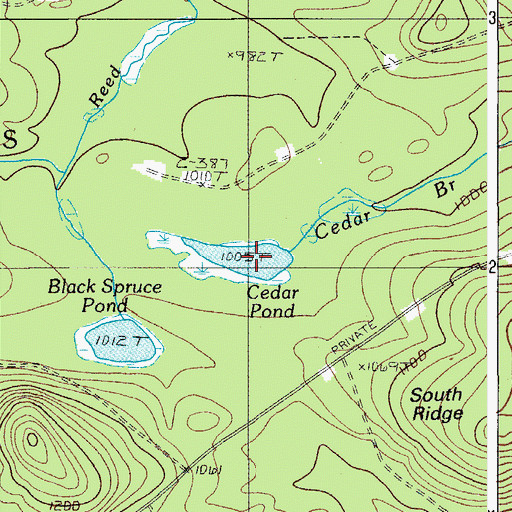 Topographic Map of Cedar Pond, ME