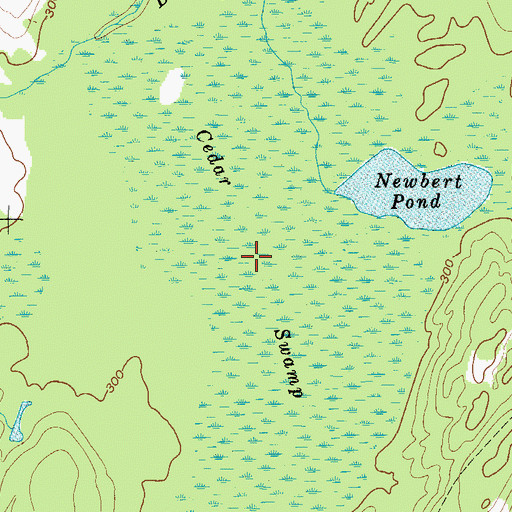 Topographic Map of Cedar Swamp, ME