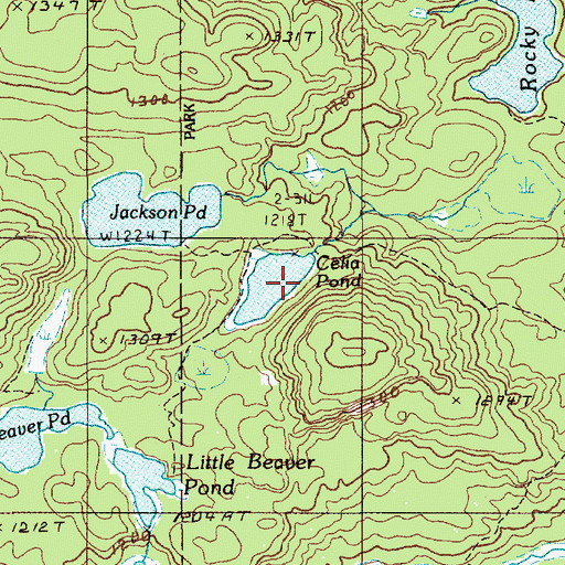 Topographic Map of Celia Pond, ME