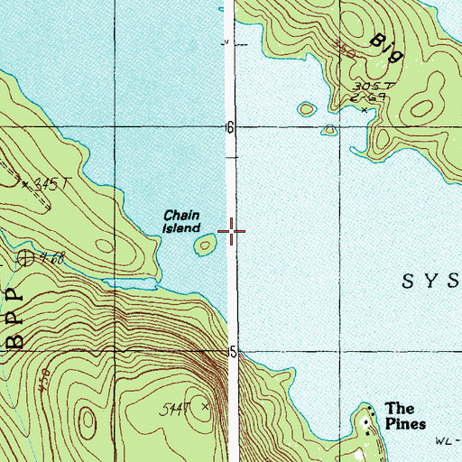 Topographic Map of Chain Island, ME