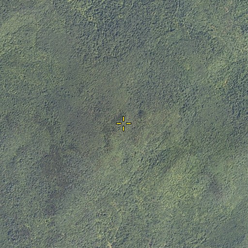 Aerial/Satellite Image of Chamberlain Mountain, ME