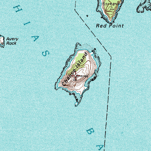 Topographic Map of Chance Island, ME