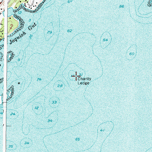 Topographic Map of Charity Ledge, ME