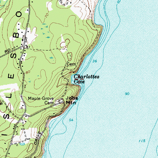 Topographic Map of Charlottes Cove, ME