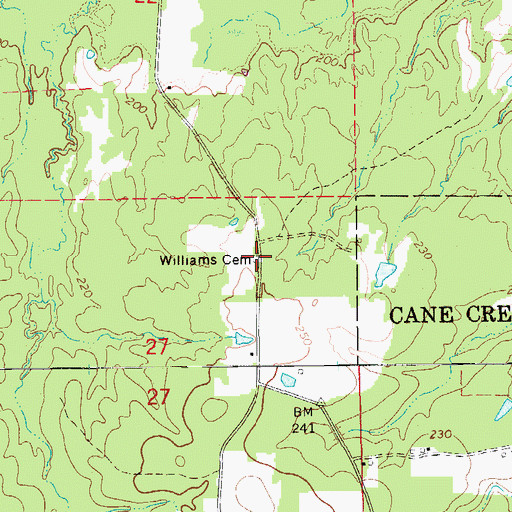 Topographic Map of Williams Cemetery, AR