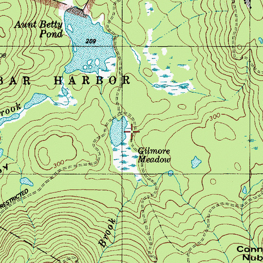 Topographic Map of Chasm Brook, ME