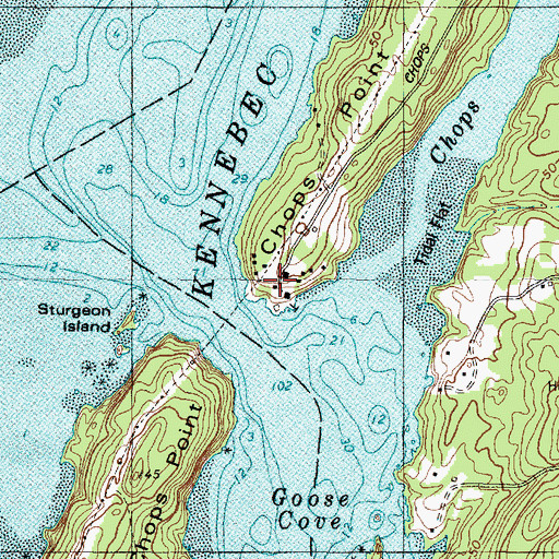 Topographic Map of Chops Point, ME