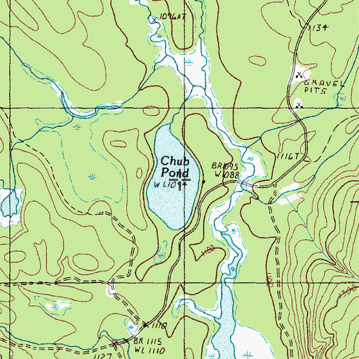 Topographic Map of Chub Pond, ME