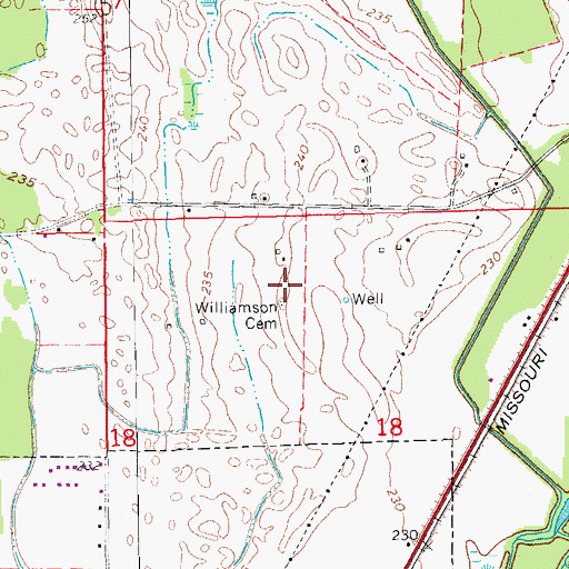 Topographic Map of Williamson Cemetery, AR