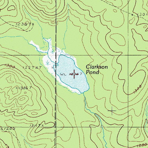 Topographic Map of Clarkson Pond, ME