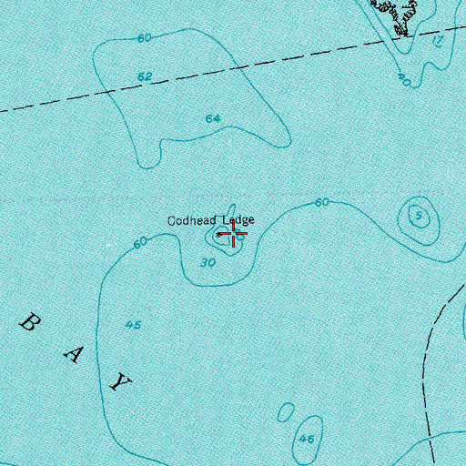 Topographic Map of Codhead Ledge, ME