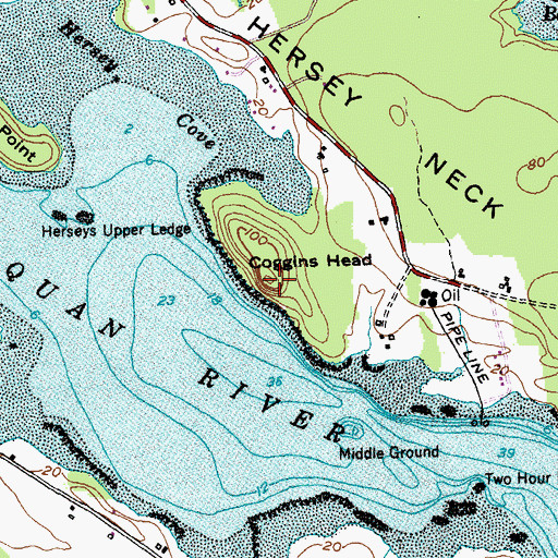 Topographic Map of Coggins Head, ME