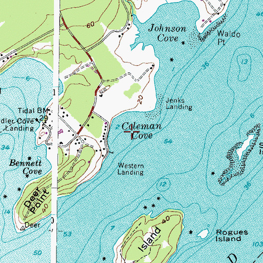 Topographic Map of Coleman Cove, ME