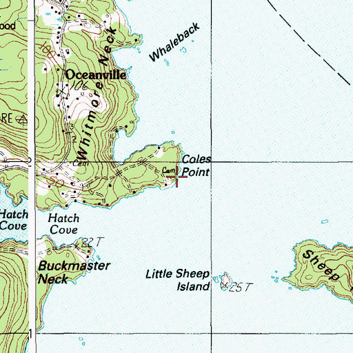 Topographic Map of Coles Point, ME