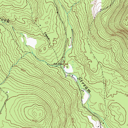 Topographic Map of Conant Brook, ME