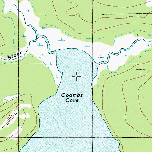 Topographic Map of Coombs Cove, ME