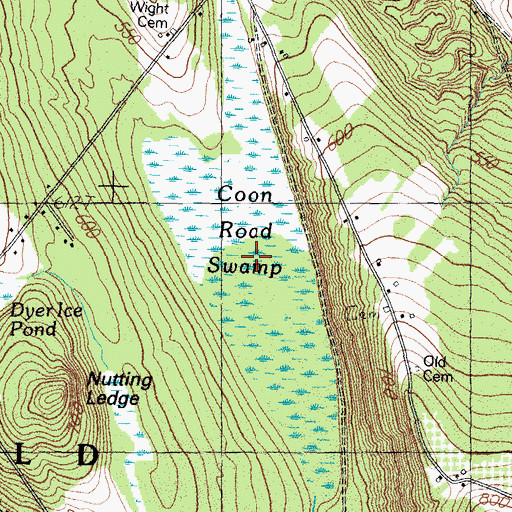 Topographic Map of Coon Road Swamp, ME