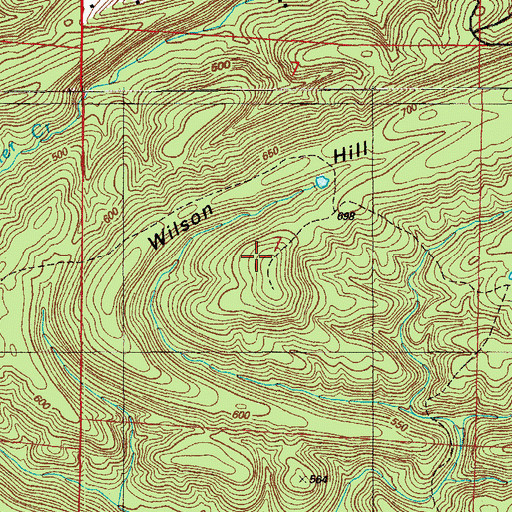 Topographic Map of Wilson Hill, AR