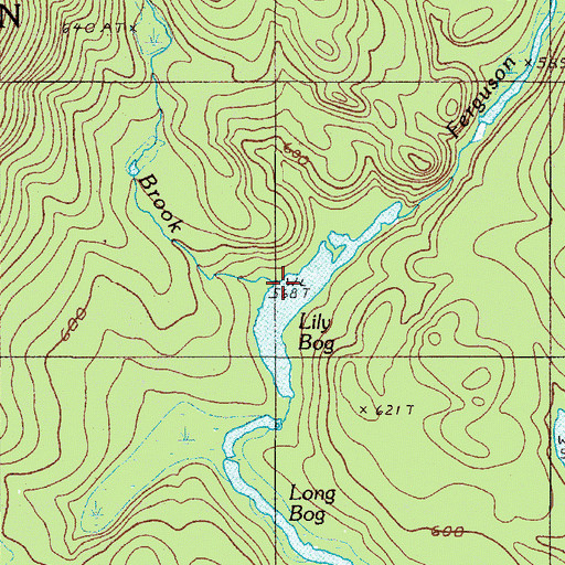 Topographic Map of Craig Brook, ME