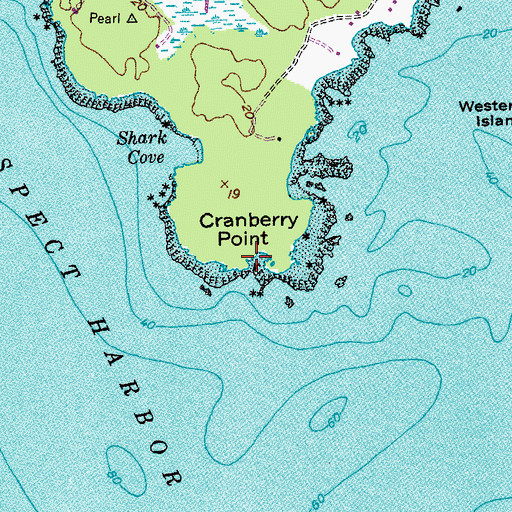 Topographic Map of Cranberry Point, ME