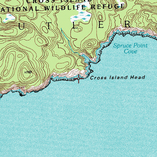 Topographic Map of Cross Island Head, ME