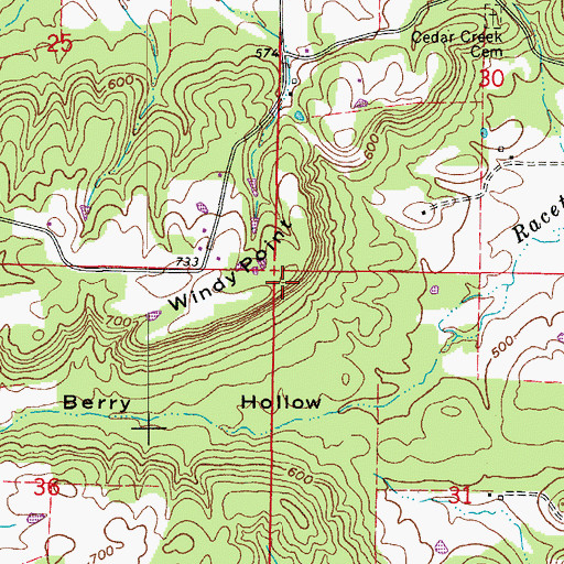 Topographic Map of Windy Point, AR