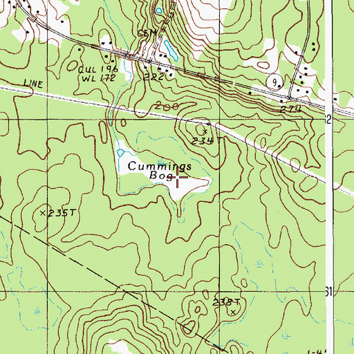 Topographic Map of Cummings Bog, ME