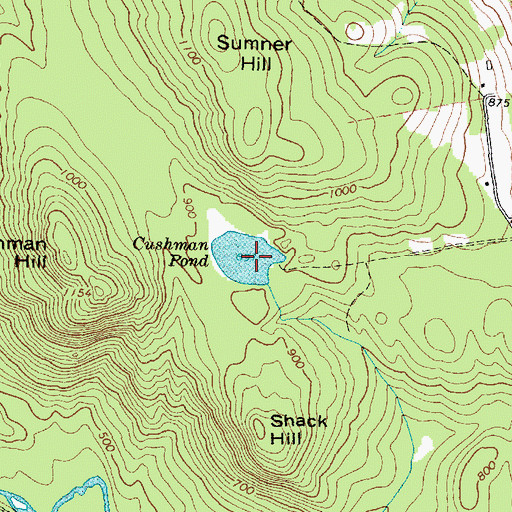 Topographic Map of Cushman Pond, ME