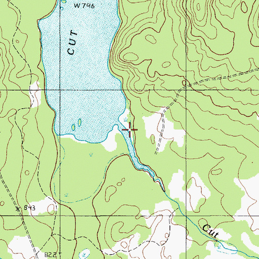 Topographic Map of Cut Brook, ME