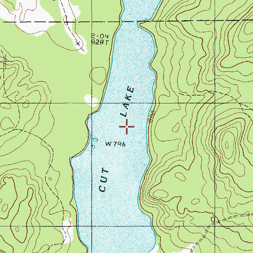 Topographic Map of Cut Lake, ME