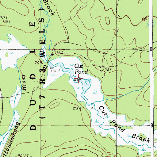 Topographic Map of Cut Pond, ME