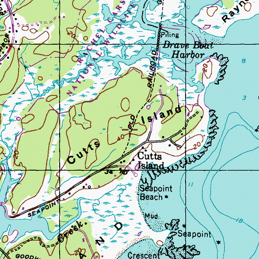 Topographic Map of Cutts Island, ME