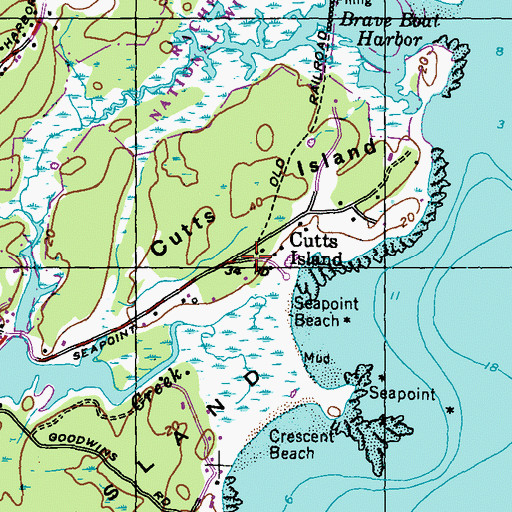Topographic Map of Cutts Island, ME